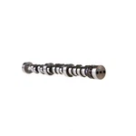 Hydraulic Camshaft Melling MC1362. Fixed Price $277.21.