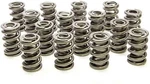 Racing Springs 1.550 Dual Valve W/damper PAC-1326-16. Fixed Price $609.25.