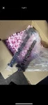 Camshafts Bridge Bracket Magnet 2.0T Set For Audi A4 A5 A6 A8 Q5 Caeb Cdnc Cdnb. Fixed Price $180.00.