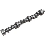Zzperformance 3.8L 3800 Ii Supercharged Vs Camshaft Regal Bonneville. Fixed Price $399.99.
