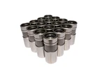Competition Cams 862-16 Pro Magnum Hydraulic Lifters. Fixed Price $335.03.