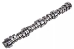 Genuine Gm Engine Camshaft 12642245. Fixed Price $244.52.