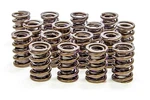 Isky 8005A Valve Spring, Dual Damper, 400 Lb/in Rate. Fixed Price $280.00.