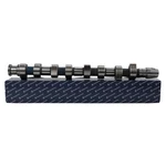 Kolbenschmidt Engine Camshaft 50006202. Fixed Price $132.89.