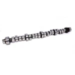 Cams 20-602-9 Computer Controlled 206/210 Hydraulic Roller For Chrysler. Fixed Price $569.23.