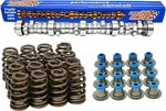 Elgin E1841P Sloppy STAGE-3 Camshaft + Springs Chevy Ls 5.3 6.0 .595" Usa-made. Fixed Price $535.62.