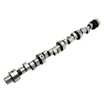 Comp Hyd Roller Thumpr Camshaft For Pontiac. Fixed Price $647.32.