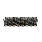 Brian Crower BC1100 Single Valve Springs Set For Mitsubishi 4G63 & SRT-4. Fixed Price $96.00.