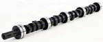 Fit 1970-1991 Jeep 360 5.9L V8 Flat Tappet Camshaft & Lifters Kit. Fixed Price $210.00.