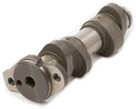 Hot Stage Camshaft 4100-1. Fixed Price $256.53.