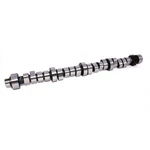 Camshaft 20-602-9; Computer Controlled .480/.512" Roller For La Mopar. Fixed Price $572.26.