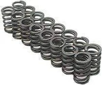 Brian Crower Valve Springs BC1600 Subaru Impreza Legacy Wrx Sti EJ25 EJ20 EJ22. Fixed Price $79.99.