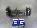 EB1331 2016 Ducati 959 Panigale Rear Vertical Intake Camshaft And Gear. Fixed Price $199.01.