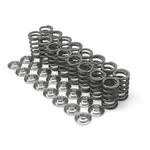 Brian Crower For Nissan SR20DE Single Valve Springs Fits Infiniti G20 &. Fixed Price $104.99.