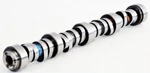Fits 2001-2007 Chevrolet Gmc Truck Suv 6.0L V8 LQ4 LQ9- Camshaft & Lifters Kit. Fixed Price $450.00.