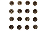 Ford Racing M-6500-R302HLC High Performance Hardened Steel Lifter Cup Set Of 16. Fixed Price $224.31.