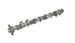 Used Bmw E36 318IS M42 Outlet Exhaust Camshaft 11311727649. Fixed Price $119.99.