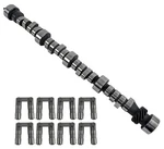 Howards Retro-fit Hydraulic Roller Camshaft And Lifter Kit CL113215-10. Fixed Price $1025.99.