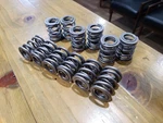 Bmw Performance Dual Valve Set - E28 E30 E34 Z1 M20B25. Fixed Price $399.00.