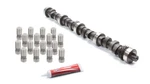 Edelbrock Performer-plus Camshaft Kit Big Block Ford Bbf 429 460. Fixed Price $469.68.