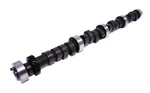 Camshaft Crb XE256H-10 Comp 21-221-4. Fixed Price $337.30.