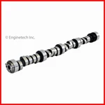 Oe Hyd Roller Camshaft For 1996-2002 Gm Chevrolet 5.0L 305 5.7L 350. Fixed Price $130.02.