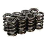 Isky 625/626-8 Valve Spring Dual Damper 300 Lb/in Rate. Fixed Price $149.86.