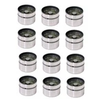 Porsche 911 Cayenne (97-08) Hydraulic Valve Lifter (set Of 12) 99610504172. Fixed Price $325.50.