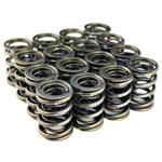 Blox Racing BXPT-10301 Valve Spring Set (16-PIECES) For Honda K-series New. Fixed Price $208.00.