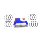 Piston Ring Set Sm For Saab YS3F 02-15 B207R Std X4. Fixed Price $86.99.