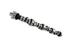 Competition 35-306-8 Blower Computer Compatible Camshaft. Fixed Price $597.18.
