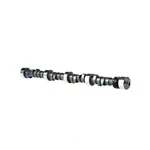 Hydraulic Camshaft Melling CCS2. Fixed Price $131.84.