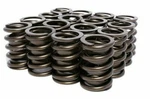 Elgin Stage Valve Springs SET/16 Ford Sb 289 302 5.0 351W 1.46 Od RV-9912X. Fixed Price $150.88.