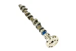Intake Camshaft Left A1190508401 Oem New Mercedes R129 500SL M119. Fixed Price $164.95.