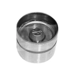 For Isuzu Rodeo 1998-2003 Dnj Engine Components LIF319 Valve Lifter. Fixed Price $14.66.