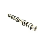 Genuine Mopar Engine Camshaft 53022065AB. Fixed Price $418.86.