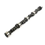 Elgin Camshaft E-1007-P; 2200-5400 Rpm .553/.578 Hydraulic Flat Tappet For Bbc. Fixed Price $243.38.