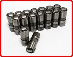 SET-16 Hydraulic Roller Lifters Chevy Gmc 4.8L 5.3L 5.7L 6.0L 6.2L LS1 LS2 LS3. Fixed Price $141.61.