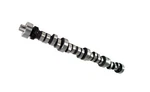 Cams Xfi Computer Controlled 236/248 Hydraulic Roller Ford 351W. Fixed Price $588.85.