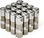 Gm Delphi LS7 Lifters Oe Replacement 4.8L 5.3L 6.0L 6.2L LS2 LS3 (full Set). Fixed Price $174.99.