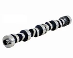 Enginetech ES134 Camshaft For 1994-1997 Buick/chevrolet/gmc 2.2L Hyd. Fixed Price $272.49.