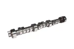 56-460-8 Magnum Computer Controlled 215/220 Hydraulic Camshafts New. Fixed Price $584.93.
