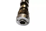 Genuine Gm Engine Camshaft 12596567. Fixed Price $221.90.