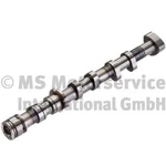 Kolbenschmidt Camshaft Audi 3,1 06E109101AC 06E109101AN 06E109101AR 06E109101BB. Fixed Price $143.89.