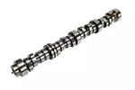 Genuine Acdelco Camshaft 12612273. Fixed Price $475.51.