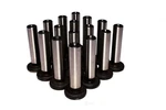 Engine Valve Lifter-solid/mechanical Comp Cams 2931-16. Fixed Price $279.80.