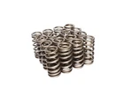Competition Cams 26113-16 Beehive Performance Street Valve Spring. Fixed Price $312.52.