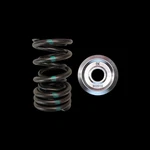 Brian Crower BC1040 Dual Valve Springs For 2002-2006 Acura Rsx K20A2. Fixed Price $274.00.