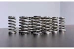 Kelford Racing Beehive Valve Springs 2015-2021 Audi/vw EA888 GEN3 2.0 Tsi. Fixed Price $494.00.