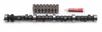 Edelbrock 2192 Performer Plus Cam & Lifters Kit. Fixed Price $488.05.
